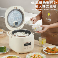 小型智能電飯煲, 4L